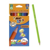 Цветные карандаши BIC Kids EVOLUTION 12 цветов