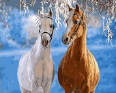 Картина по номерам 40х50 см "Парочка лошадей"