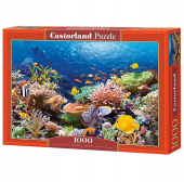 Пазлы Castorland "Коралловый риф" 1000 элементов, 68 х 47 см, картонная  упаковка
