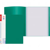 Папка с 30 файлами deVENTE "Daily" А4, 500/30 мкм, торцевой карман, непрозрачная зеленая