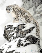 Картина по номерам 40х50 см "Снежный барс" премиум