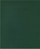 Тетрадь общая А5 "Маяк", 48 листов, клетка, обложка бумвинил, зеленая, с полями