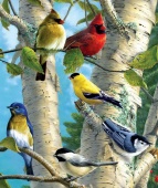 Картина по номерам 40х50 см "Птички на березе" премиум