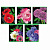 Тетрадь общая HATBER "Яркие цветы" 48 листов, клетка, с полями
