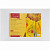 Холст грунтованный на картоне Невская палитра "Сонет" 40х60 см, 100% хлопок, мелкое зерно 280 г/м2