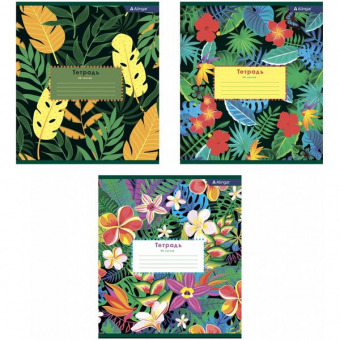 Тетрадь общая Alingar "Тропические цветы" 48 листов, клетка, ассорти
