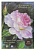 Планшет для акварели PALAZZO Premium "Розовый сад" А4, 20 листов, бумага тисненая "Лён" палевый, плотность 200 г/м2  