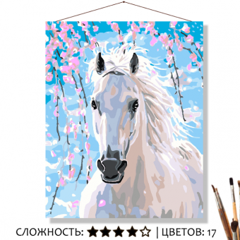 Картина по номерам на холсте 50х40 см "Белая лошадь"