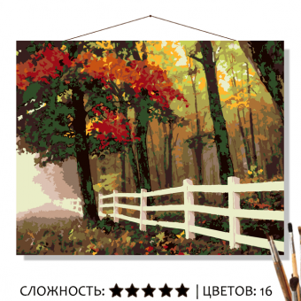 Картина по номерам на холсте 50х40 см "Осенний лес"